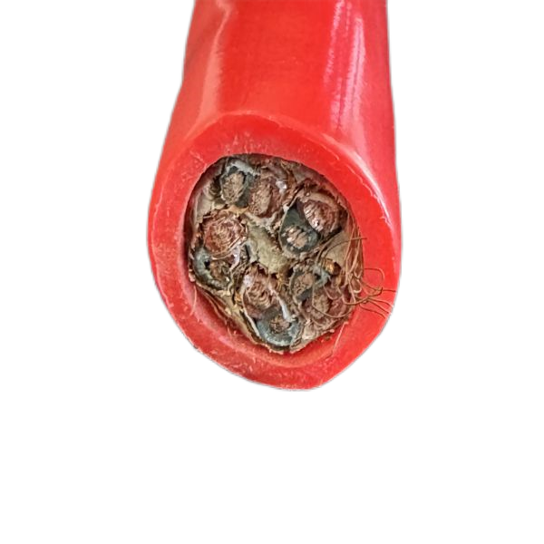 J9����|����վ����