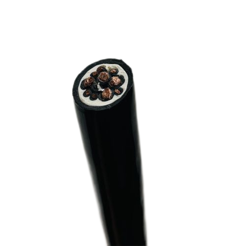 J9����|����վ����