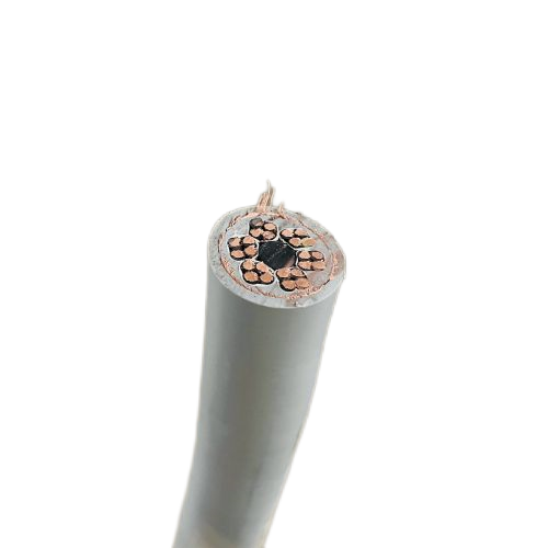 J9����|����վ����