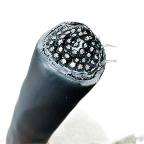 J9����|����վ����