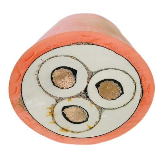 J9����|����վ����