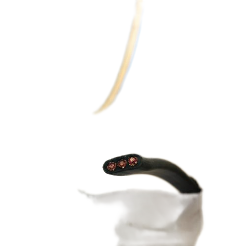 J9����|����վ����