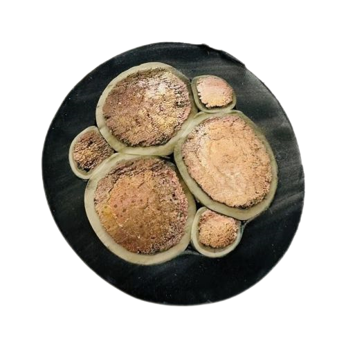 J9集团|国际站官网