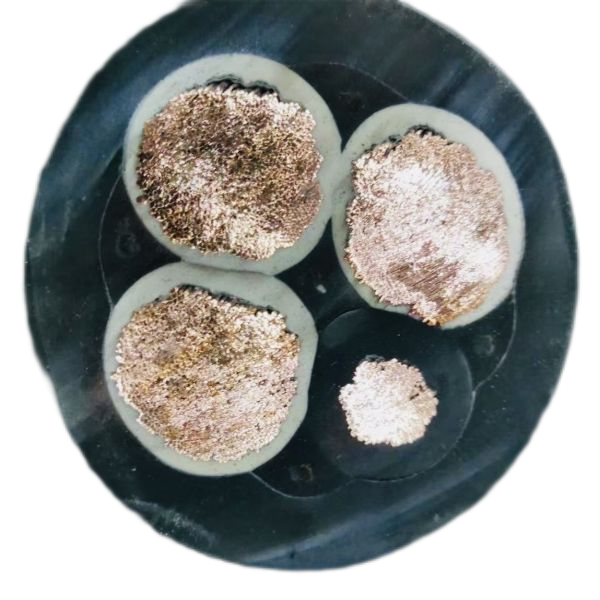 J9����|����վ����