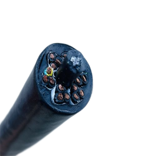 J9����|����վ����