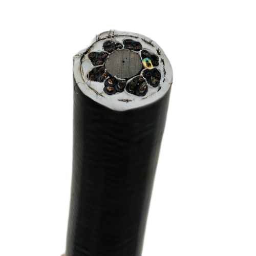 J9����|����վ����