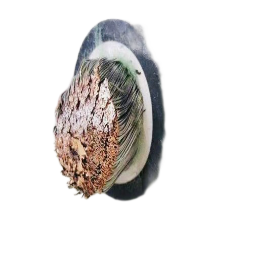 J9����|����վ����