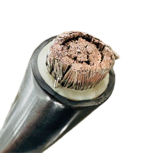 J9����|����վ����