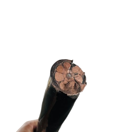 J9����|����վ����