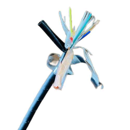 J9����|����վ����