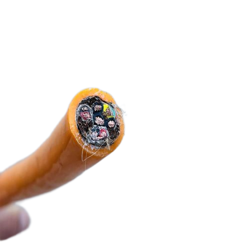 J9����|����վ����