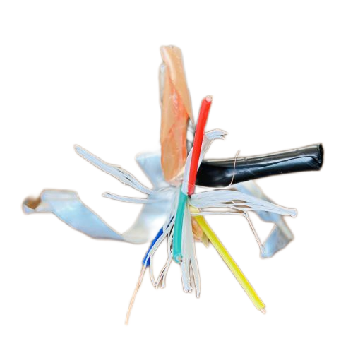 J9����|����վ����