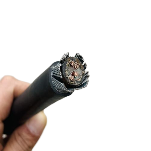 J9����|����վ����