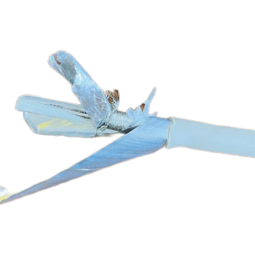 J9����|����վ����