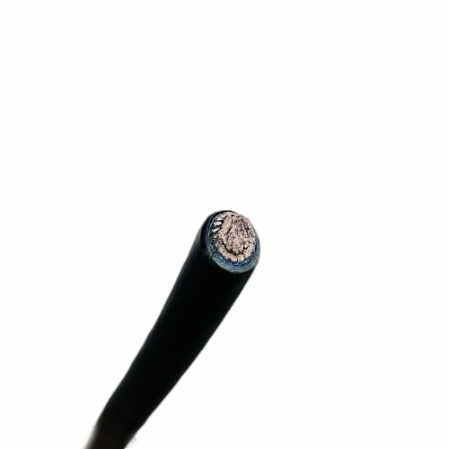 J9����|����վ����