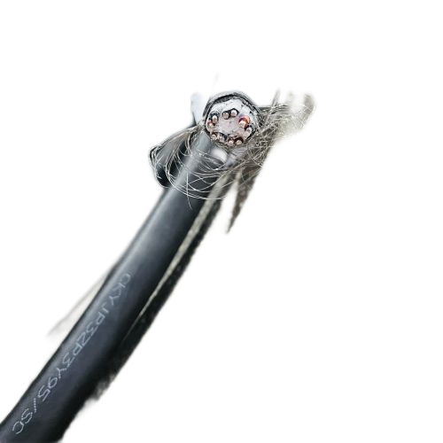 J9����|����վ����