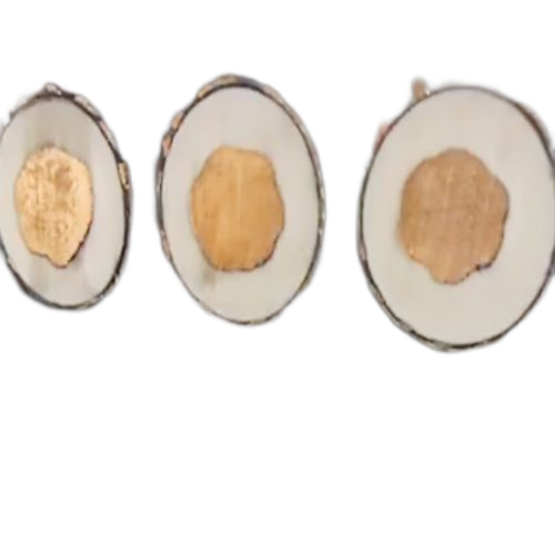 J9����|����վ����