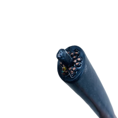 J9����|����վ����