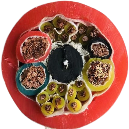 J9����|����վ����