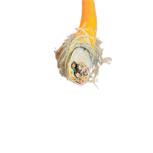 J9����|����վ����