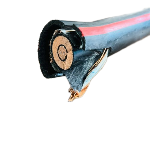 J9����|����վ����