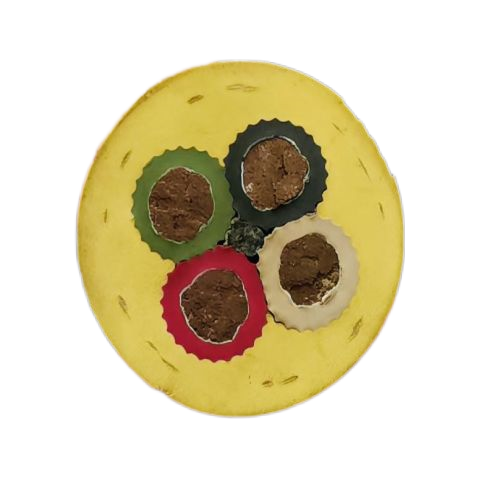 J9����|����վ����