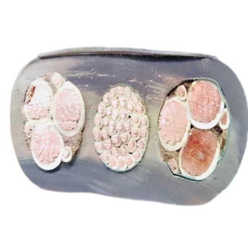 J9����|����վ����