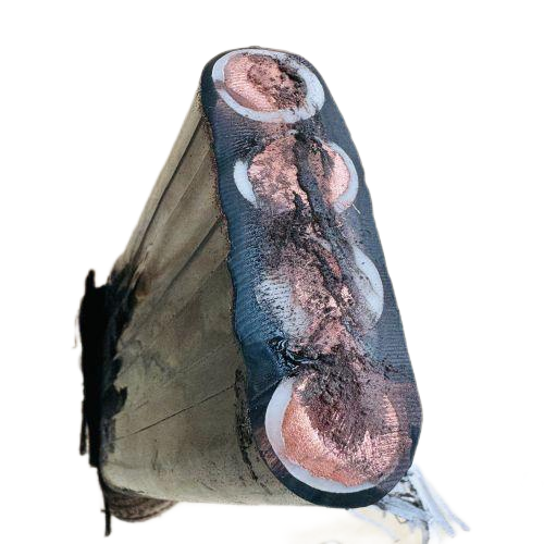 J9����|����վ����