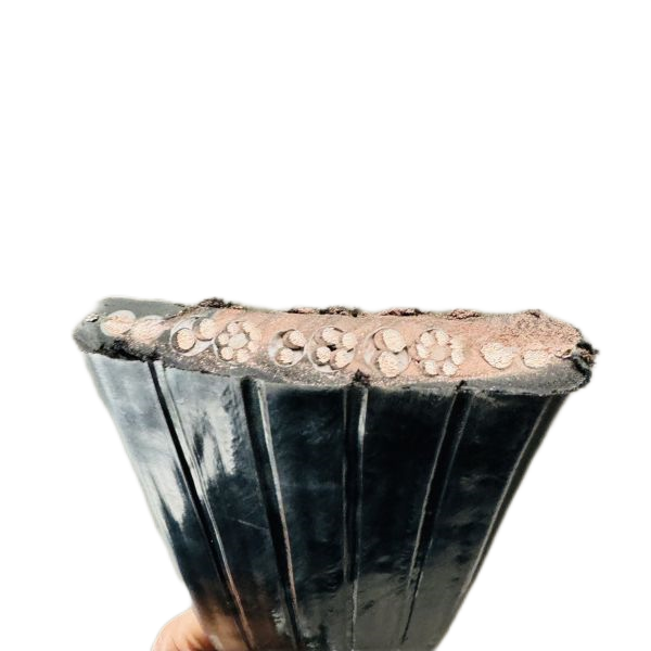 J9����|����վ����