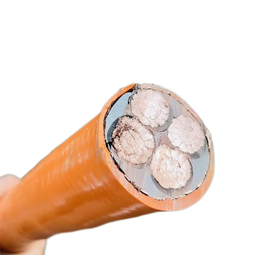 J9����|����վ����