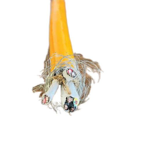 J9����|����վ����