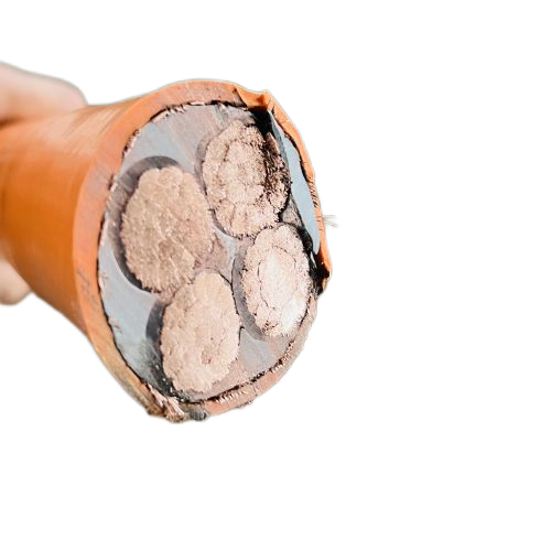 J9����|����վ����