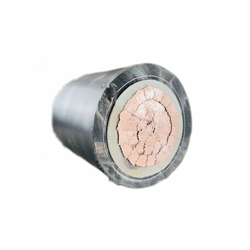 J9����|����վ����