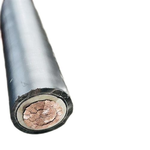 J9����|����վ����