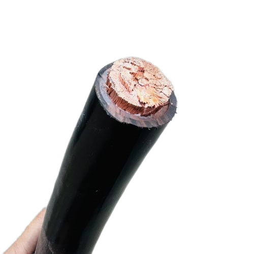 J9����|����վ����