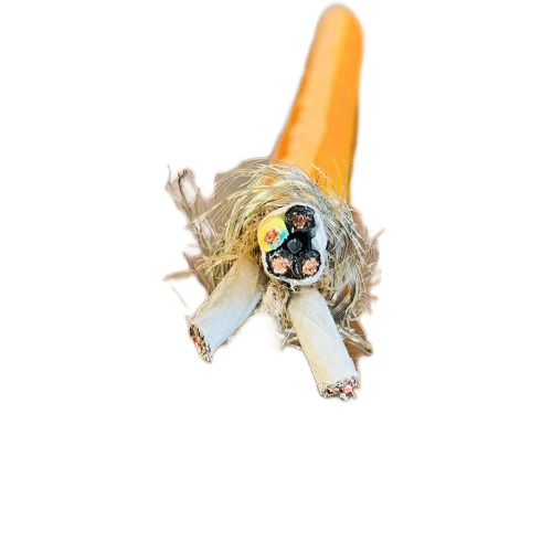 J9����|����վ����