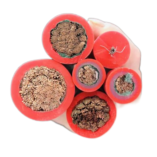 J9����|����վ����