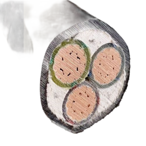 J9����|����վ����