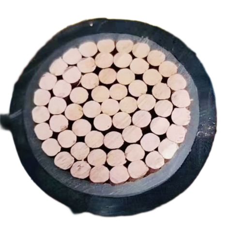 J9����|����վ����