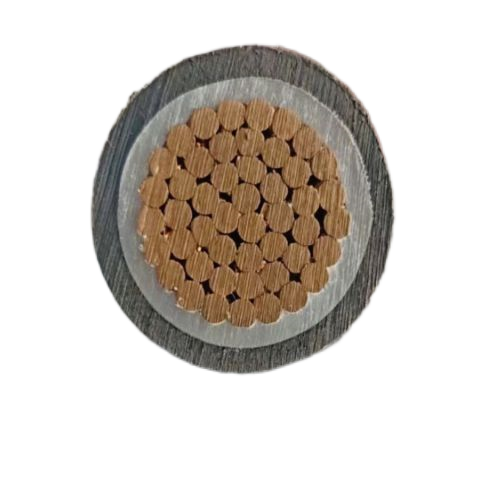 J9����|����վ����