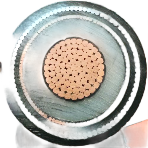 J9����|����վ����