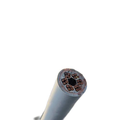 J9����|����վ����