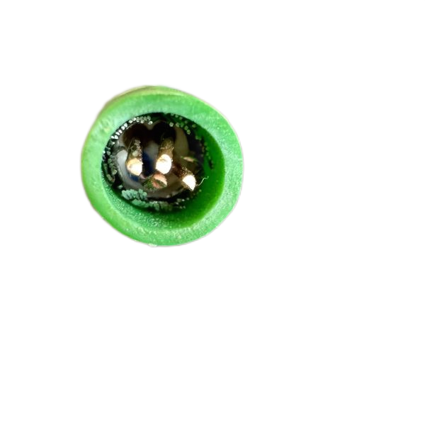 J9����|����վ����