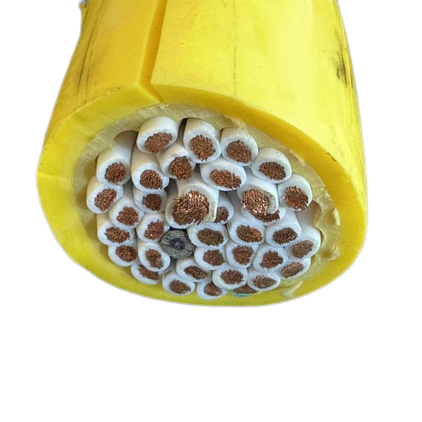 J9����|����վ����