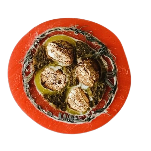 J9����|����վ����