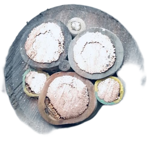 J9����|����վ����