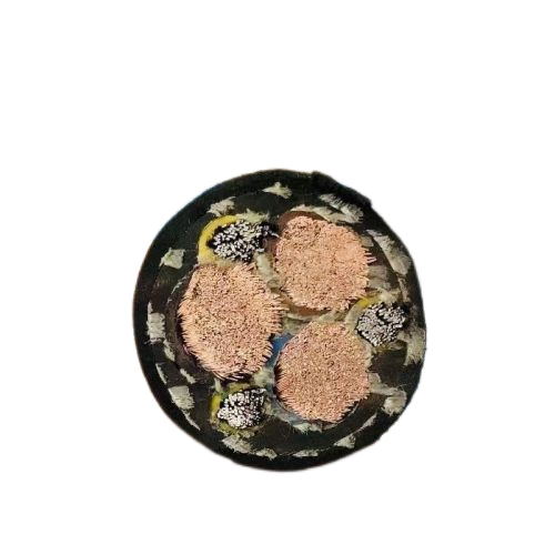 J9����|����վ����