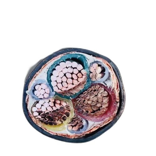 J9����|����վ����