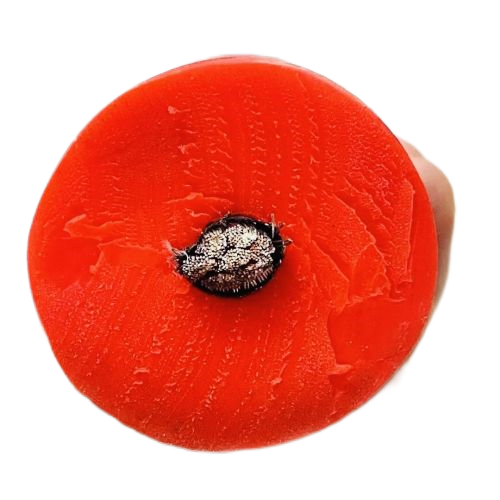 J9����|����վ����