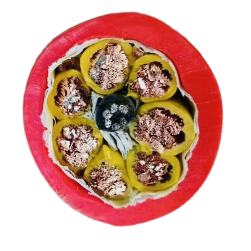 J9����|����վ����